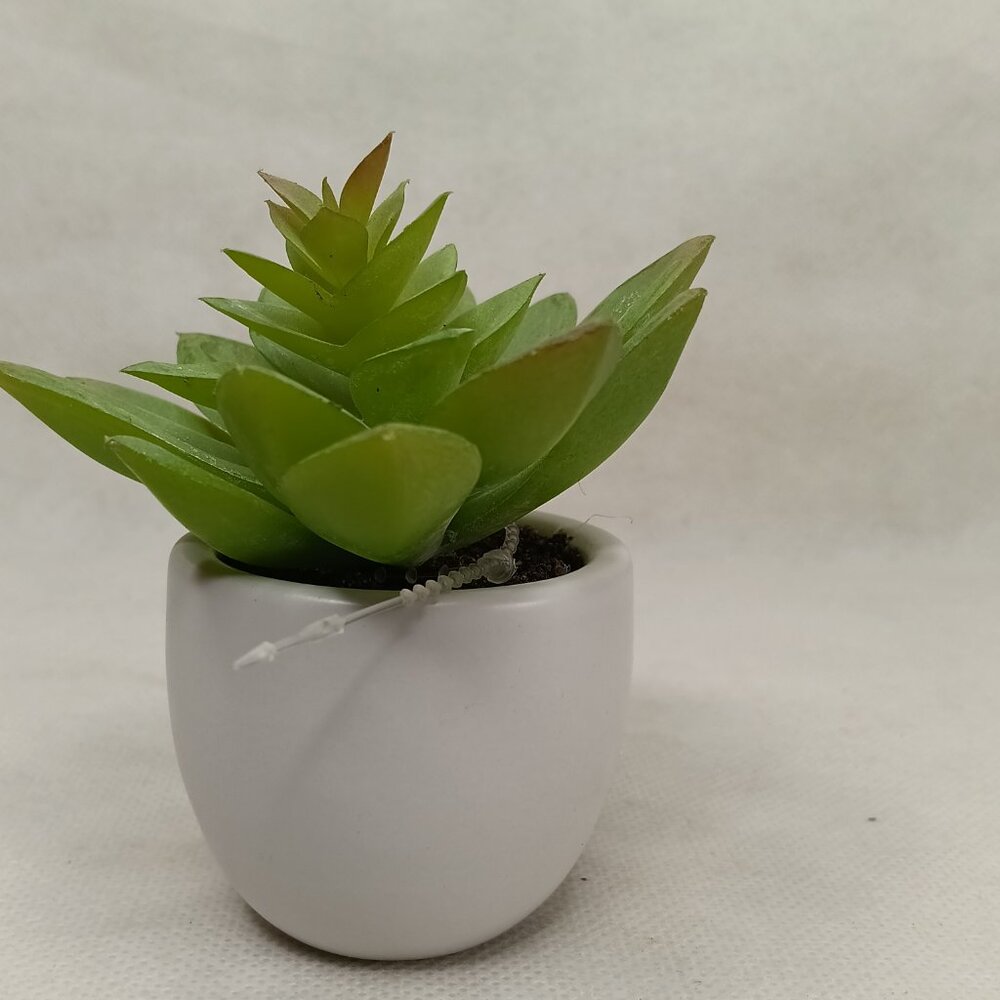 3.5 '' Mini Tabletop Succulent Artificial Plant - Threshold, new